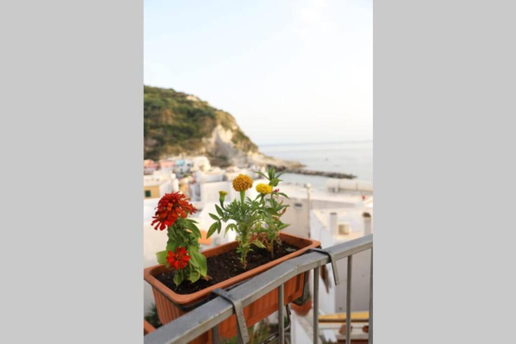 Casa Maadry Apartment *