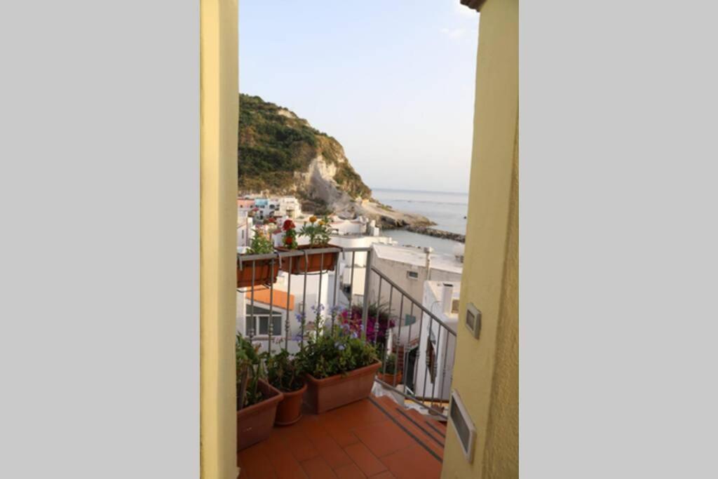 Apartment Casa Maadry
