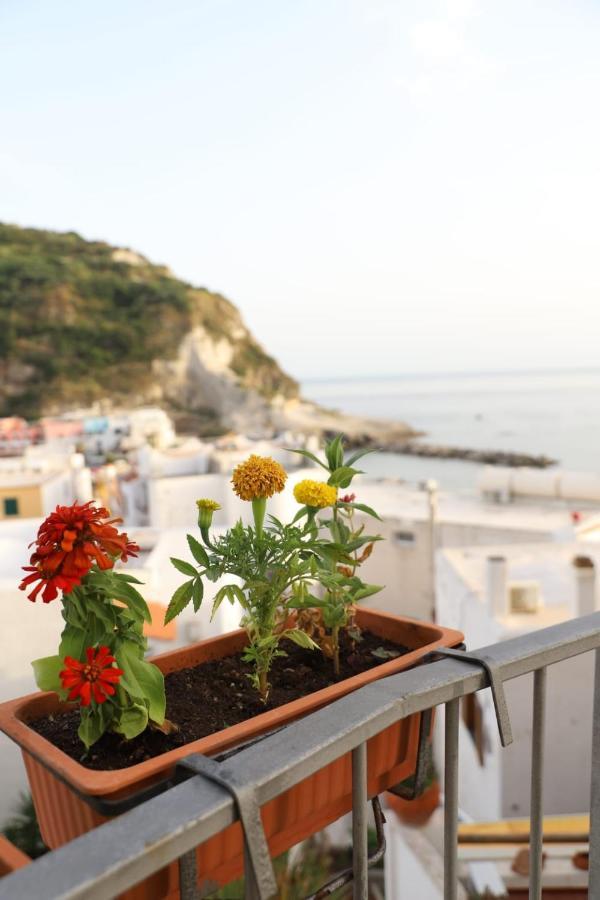 Casa Maadry Sant'Angelo (Isola d'Ischia)
